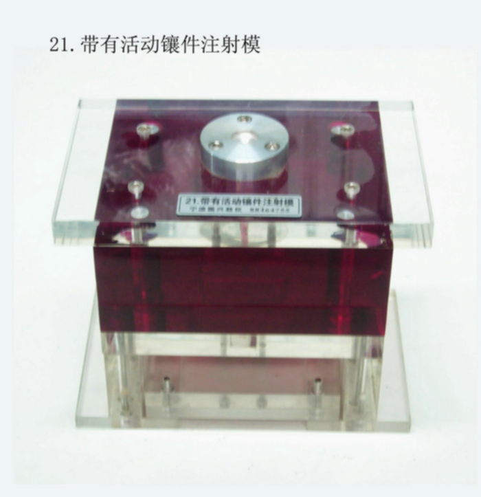 塑料成型式藝與模具設(shè)計模型